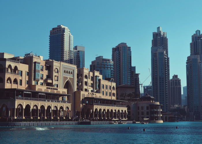 蛋花花，蛋花花是哪个公司的