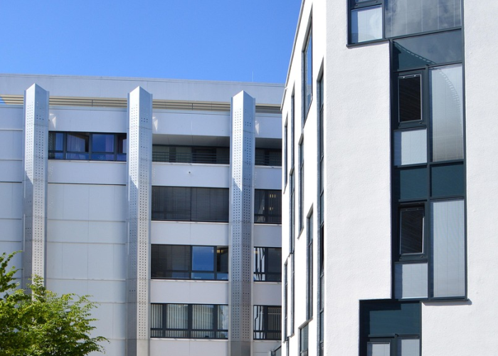 【情人节彩信,情人节的信】